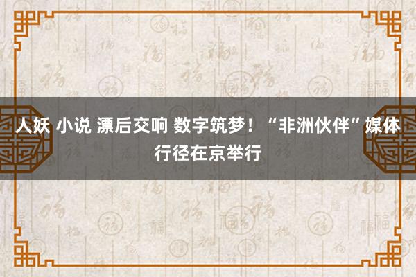 人妖 小说 漂后交响 数字筑梦！“非洲伙伴”媒体行径在京举行