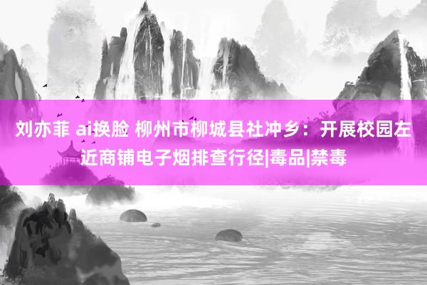 刘亦菲 ai换脸 柳州市柳城县社冲乡：开展校园左近商铺电子烟排查行径|毒品|禁毒