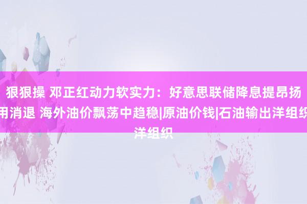 狠狠操 邓正红动力软实力：好意思联储降息提昂扬用消退 海外油价飘荡中趋稳|原油价钱|石油输出洋组织